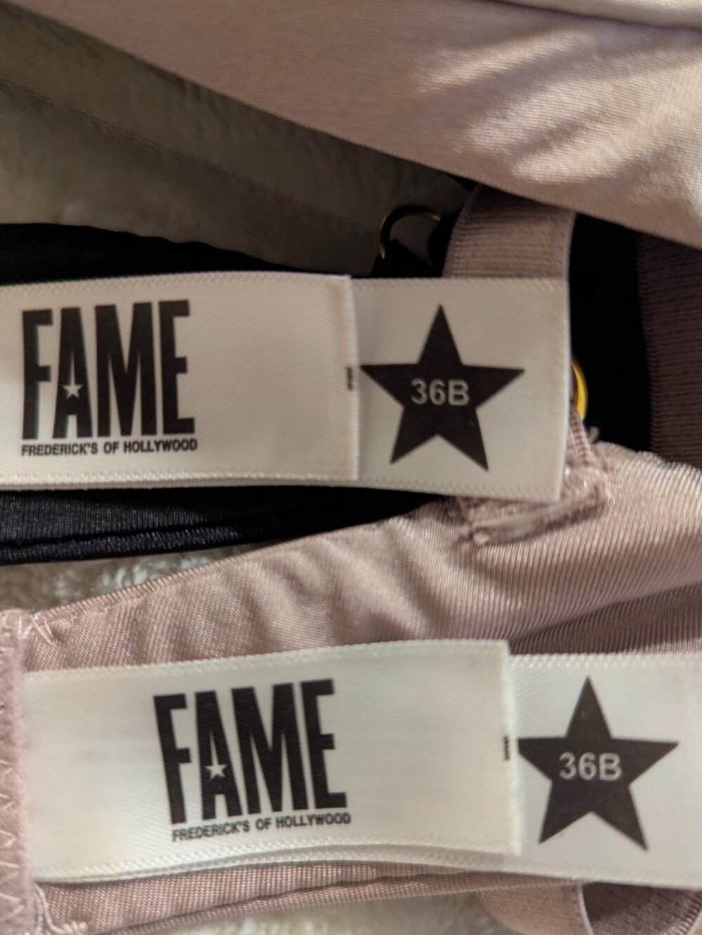 Fame Padded Bra Bundle - Picture 3 of 4